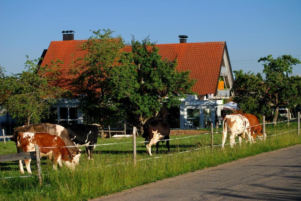 Wellnesshotel Schiesselhof Grafenhausen Quarto foto
