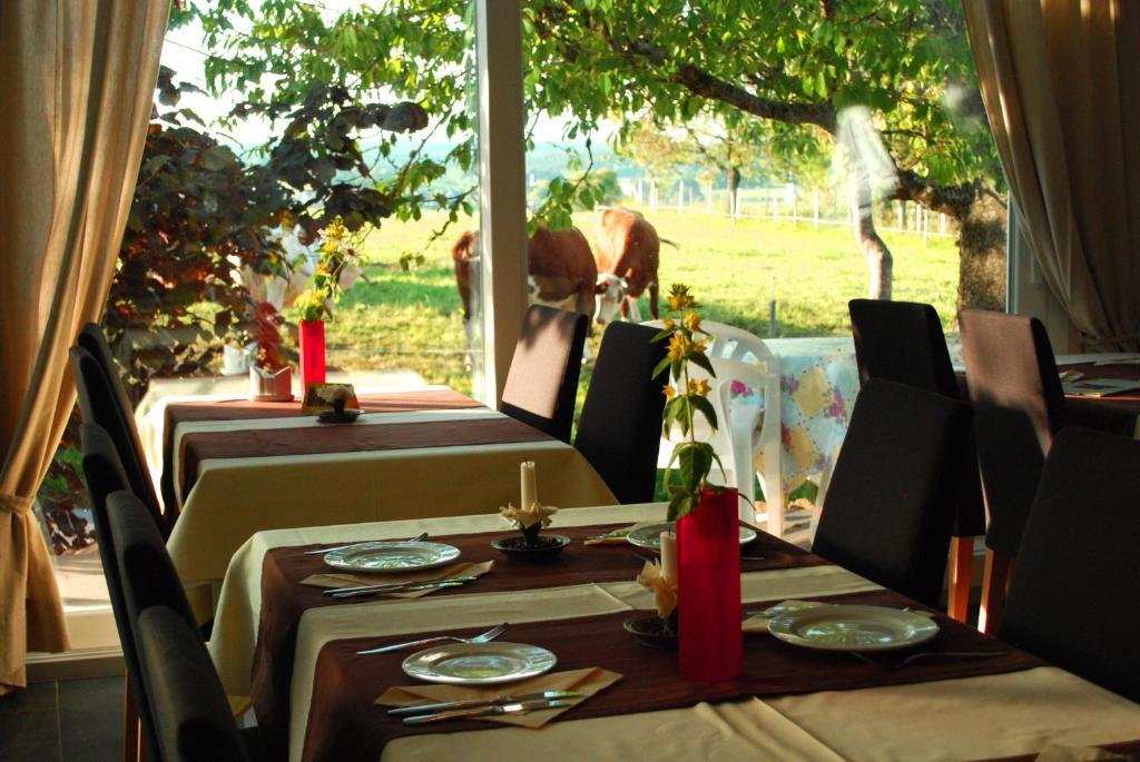Wellnesshotel Schiesselhof Grafenhausen Quarto foto